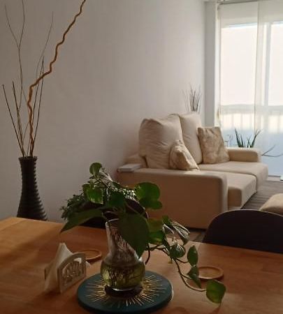 Apartamento Entero De Tres Habitaciones, Cerca De La Playa! Acogedor, Luminoso Y Tranquilo Малграт де Мар Екстериор снимка